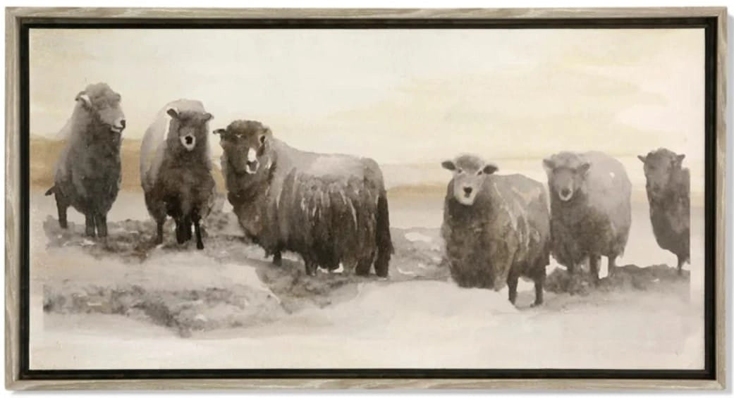 Sheep Vintage Canvas