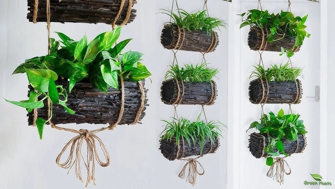 Greenery & Planters